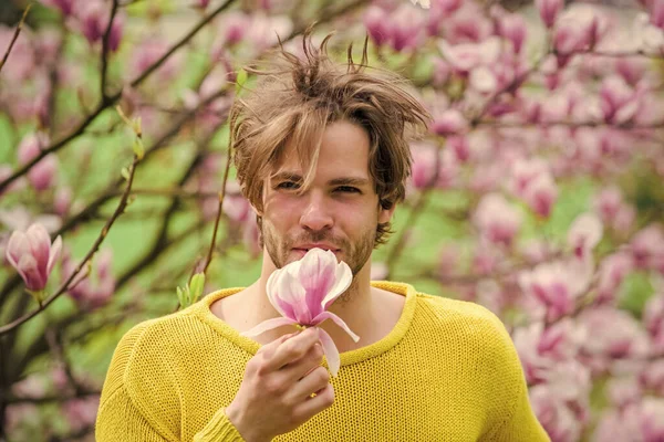 Unshaven man magnolia bloom. Man flowers background defocused. Spring beauty. Botany nature. Male beauty. Hair care and beauty. Hairdo styling. Floral cosmetics concept. Hipster enjoy blossom aroma