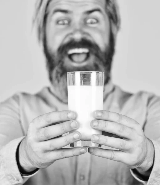 Drink protein cocktail. Healthy habits. Almond milk is rich in several healthy nutrients. Milk for good health. Lactose free. Bearded man hold glass of milk. Source of calcium. Vegan milk concept