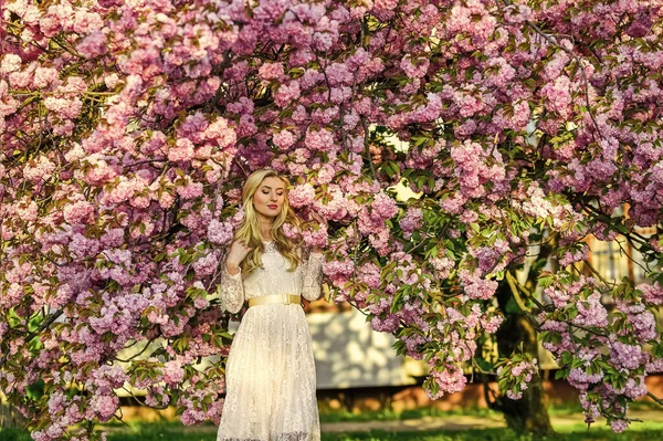 Concept d'arôme. Sakura arbre en fleurs. Saison Sakura. Parfum tendre. Allergie saisonnière. Perdu dans les fleurs. Fille fleur de cerisier fleur. Mode printanière. Femme printemps fleur de sakura. Femme blonde dans le jardin — Photo