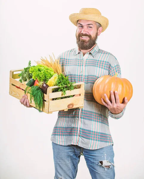 Stile di vita contadino professione professionale. Compra cibo locale. contadino rustico barbuto uomo tenere scatola di legno con verdure fatte in casa e sfondo bianco zucca. Cibi coltivati localmente. Coltivatore portare raccolto — Foto Stock