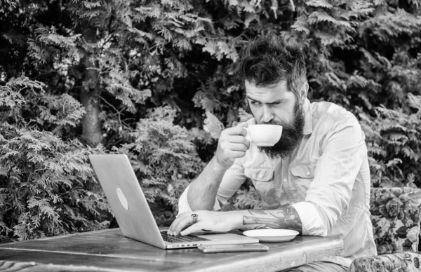 Homem barbudo hipster sentar ao ar livre com laptop de surf internet e beber café. Reserve apartamento online. Um tipo à procura de apartamento. Encontrar apartamento para férias ou férias. Planejamento férias — Fotografia de Stock