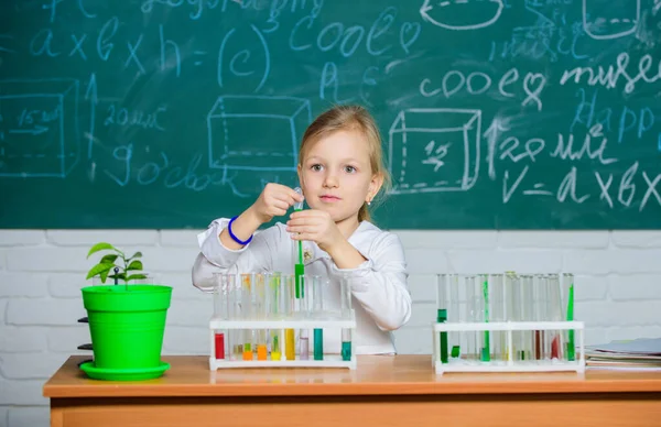 Fedezze fel és vizsgálja meg. Iskolai óra. Lány aranyos tanuló játszani kémcsövek és színes folyadékok. Iskolai kémiai kísérlet. Iskolai oktatás. Érdekes megközelítés a tanuláshoz. Jövőbeli tudós — Stock Fotó