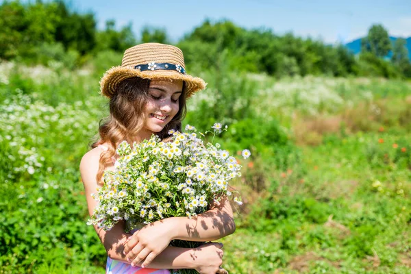 Szüret friss gyógynövények. Kislány gyűjtése kamilla virágok területen, gondtalan és boldog — Stock Fotó