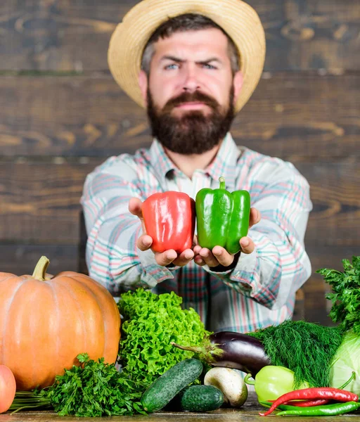 卖蔬菜。男人成熟的胡子农民持有蔬菜木制背景.农民草帽与新鲜收获。本地收获的概念。典型的农夫农贸市场收获节 — 图库照片