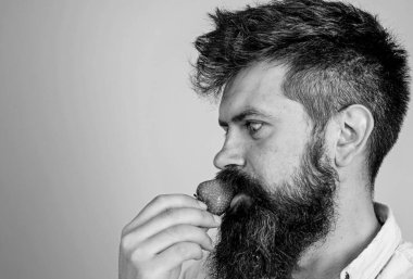 Çilekli sağlıklı atıştırmalık. Uzun sakallı yakışıklı hippi çilek yiyor. Böğürtlen mevsimi. Hippi sulu, olgun, kırmızı çileğin tadını çıkarır. Adam böğürtlen aromasını seviyor. İşte yazın tadı böyle.