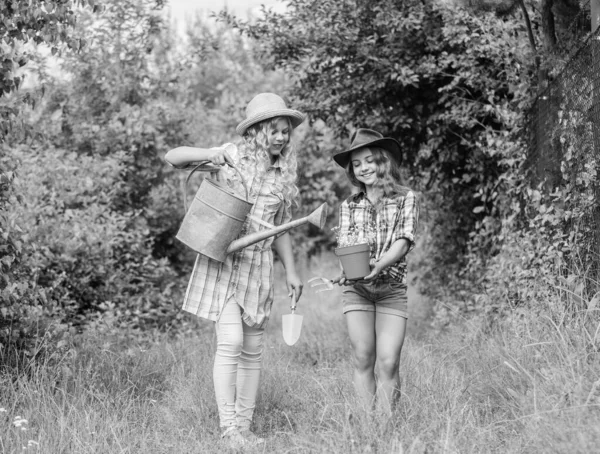 Девушки в шляпах сажают растения. Сельские дети природного происхождения. Концепция сельского хозяйства Сестры помогают на ферме. Семейная ферма. Дети веселятся на ферме. Эко-фермерская концепция. Посадка и полив — стоковое фото