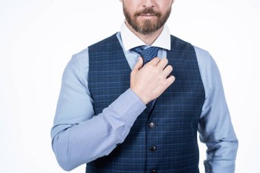 Mükemmel olmak. Kesilmiş profesyonel iş adamı kravatı. Kesilmiş CEO resmi kıyafetler giyer..