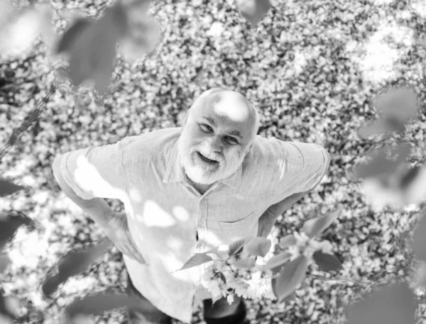 Отдых в цветущем парке. старшеклассник с седой бородой в соломенной шляпе. Счастливой пенсии. Дедушка улыбается, глядя на розовый цветок сакуры. Человек на цветущей вишне. старики наслаждаются весенней природой — стоковое фото