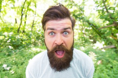 Çıldır. Doğal ortamda çılgın sakallı bir adam. Uzun sakallı hippi duygusal suratı doğa geçmişini kapatıyor. Saç bakımlı erkek güzeli. Yaz eğlencesi. Park Ormanı 'ndaki sakallı adam. Sakallı hippi.