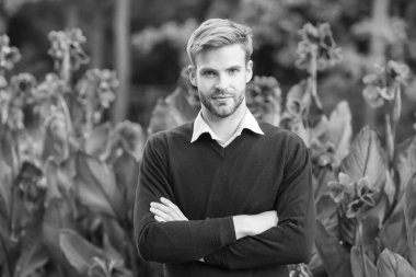 Genç, traşsız bir adam. Erkek güzellik ve moda. Tüylü adam mor kazak giyiyor. Berber dükkanı konsepti. Sıradan moda tarzı bir iş. Erkek doğal güzelliği. Adam sakallarını iyi taramış.