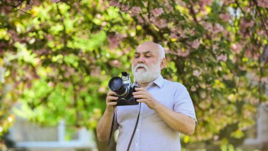 Sıcak bir gün. Kiraz çiçeği açan bahçe. Fotoğrafçı ünlü kiraz çiçeklerinin fotoğraflarını çekiyor. Tam pembe çiçekli bahar mevsimi. Fotoğrafçı Sakura 'nın neşeli çiçek fotoğrafını çek.