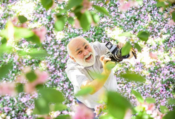 Hobby at retirement. tourism and holiday. traveler camera man under sakura bloom garden. travel concept. male photographer enjoy cherry blossom. travel and walking in cherry park. Natural beauty — Stock Photo, Image