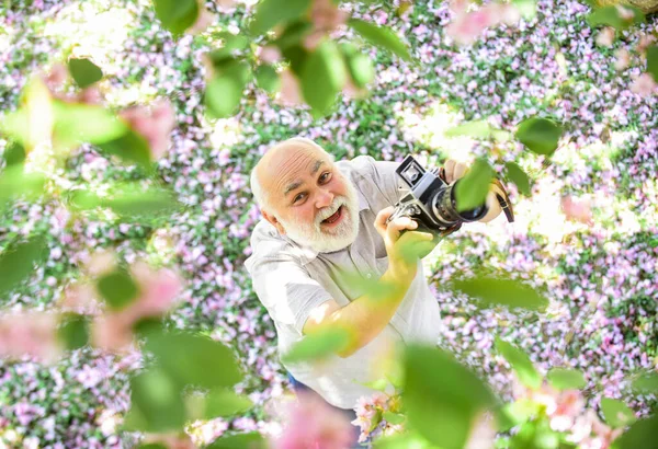 Hobby na aposentadoria. turismo e férias. viajante câmera homem sob sakura flor jardim. conceito de viagem. fotógrafo masculino desfrutar flor de cereja. viajar e caminhar no parque de cereja. Beleza natural — Fotografia de Stock