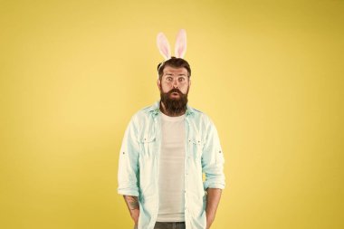 Paskalya sürprizi. Şaşırmış tavşan sarısı arka plan. Sakallı adam ağzını açık bıraktı. Hippi tavşan kulağı takar. İlkbahar. Bahar sezonu. Tatil kutlaması. Mutlu sürprizler. Tavşan sürprizi.