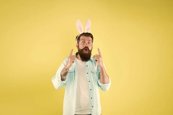 Got idea. Man long rabbit ears. Bearded man Easter rabbit costume. Easter bunny or hare. Hipster dressed for Easter party. Easter bunny symbol of fertility and spring. Having fun. Inspiration concept