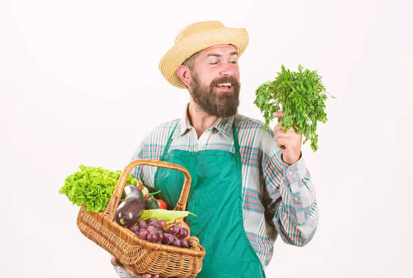 Świeże organiczne warzywa wiklinowy kosz. Hipsterski ogrodnik nosi fartuch z warzywami. Człowiek brodaty prezentując warzywa białe tło izolowane. Słomiany kapelusz rolnika trzymać pietruszkę i warzywa kosz — Zdjęcie stockowe