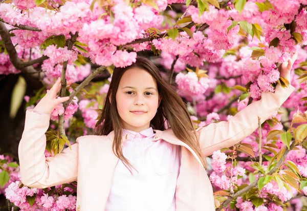 Söta barn njuta av varma vårdagen. Aromatiskt blomsterkoncept. Flickturist poserar nära Sakura. Anbud blommar. Barn på rosa blommor sakura träd bakgrund. Flicka njuter av körsbärsblomma eller sakura — Stockfoto