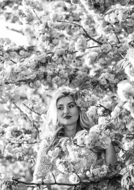 Bahar tatilinin tadını çıkarıyorum. Retro kadın pembe sakura çiçekleri kokuyor. Kaplıca ve güzellik tedavisi. yumuşak cilt bakımı. Kiraz ağacı bahçesinde sağlıklı bir kız. Klasik yaz modası. Parkta bahar doğası çiçek açar.