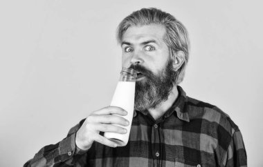 Probiyotik özellikler. Sakallı adam süt şişesini tut. Kremalı ve kesinlikle lezzetli yoğurt. Kahvaltı konsepti. Susamış hippi içiyor. Ev yapımı yoğurt. Yoğurt yapmak için basit bir eğitim.