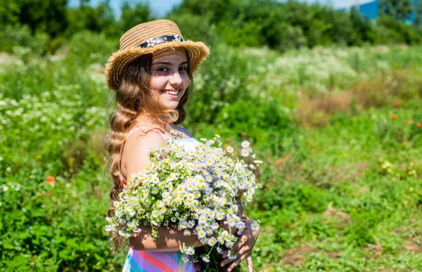 Kislány gyűjtése virágok és gyógynövények a napsütéses napon, nyaralás koncepció — Stock Fotó