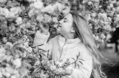 Çocuk ılık baharın tadını çıkarıyor. Çiçek aromasını seven bir kız. Sakura ağacının pembe çiçekleri üzerinde bir çocuk. Botanik konsepti. Kiraz çiçekli sakuranın tadını çıkaran bir çocuk. Yumuşak pembe bulutlar gibi çiçekler. Çiçek koklamak.