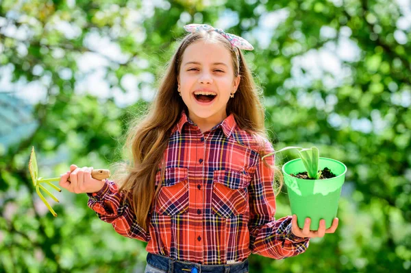 Trädgårdsskötsel är fredlig meditativ ockupation. Trädgårdslektioner. Trädgårdsskötsel. Ekologiutbildning. En liten flicka som planterar växter. Planteringssäsong. Barn bedårande unge hålla blomma kruka och hacka trädgårdsredskap — Stockfoto