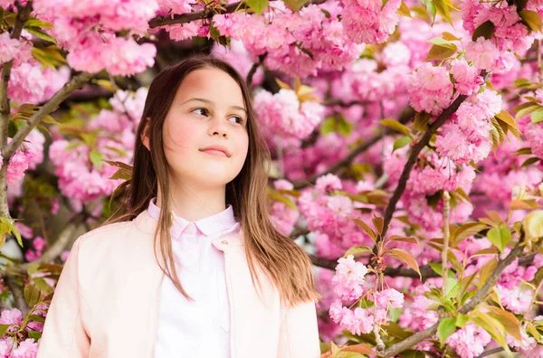 A lány szereti a cseresznyevirágzást vagy a szakurát. Aranyos gyermek élvezze a meleg tavaszi napot. Aromás virágkoncepció. Turista lány pózol Sakura közelében. Gyengéd virágzás. Gyermek rózsaszín virágok sakura fa háttér — Stock Fotó