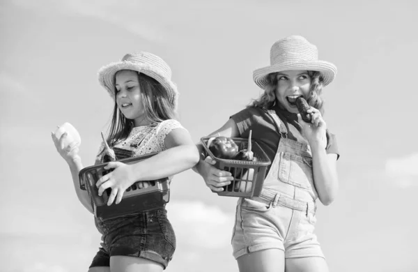 Meninas crianças bonitos em chapéus agricultura. Estilo rústico da aldeia. Crianças a recolher vegetais no cesto. A vender comida caseira. Mercado de vegetais. Nutrição vitamínica natural. Produtos hortícolas biológicos — Fotografia de Stock