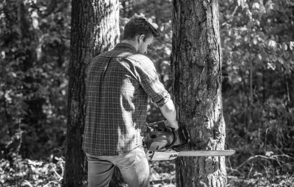 El hombre forestal usa la sierra para cortar árboles. buscar leña para la fogata de picnic. Sobrevivir en la naturaleza salvaje. humano y la naturaleza. hombre caminando en madera. cazador furtivo en el bosque. deforestación. guardabosques o caza furtiva —  Fotos de Stock
