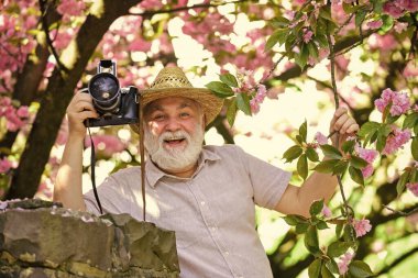 Kıdemli adam profesyonel kamerayı tutuyor. Emeklilik gezisi. Boş zamanın tadını çıkarıyorum. Seyahat ve turizm. Çekici güzellik. Mutlu büyükbaba. Bahar tatili. Seyahat fotoğrafı. Çiçek açan bahçede fotoğrafçı