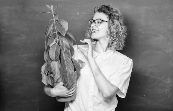 taking care of flowers. happy student girl with plant at blackboard. teacher woman in glasses at biology lesson. tree of knowledge. environmental education. school nature study