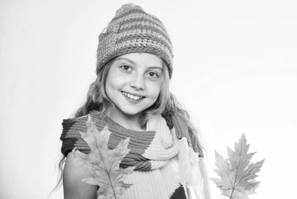 柔らかい秋のための明るいアクセサリー。明るいアクセサリー。今年の秋は明るい。女の子幸せな顔は明るいニット帽を着用し、スカーフは白い背景の葉を保持します。秋のカラフルなアクセサリー — ストック写真