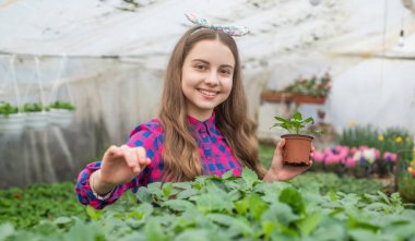 Yeşile git. Bahçecilik. Çocuklar için bahçe işleri. Seradaki mutlu genç kız çiçekçi..