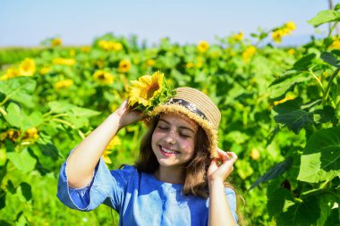 Güzel yüzlü küçük kız ayçiçeği oynuyor doğa geçmişi, iyi ruh hali