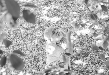 Mutlu bahar günleri. Büyükbaba pembe sakura çiçeklerini izlerken gülümsüyor. Kiraz ağacının altındaki adam. Yaşlı adam bahar doğasını seviyor. Hasır şapkalı gri sakallı son sınıf öğrencisi. Mutlu emeklilik