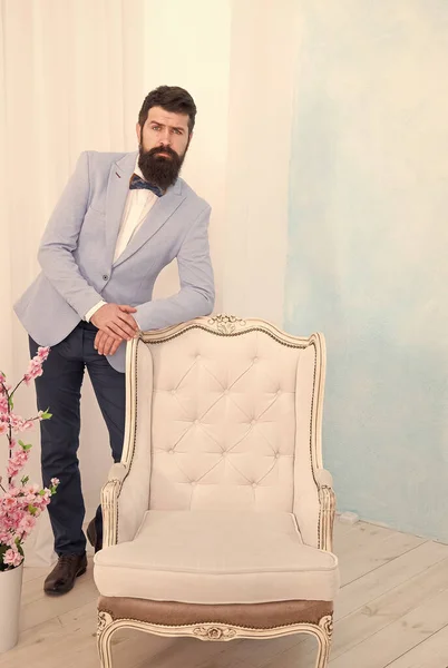 groomed bearded man on special event. its wedding day. stylish art director. real esthete in all details. gentleman wear bow tie. brutal tuxedo man lean on chair. formal and business fashion