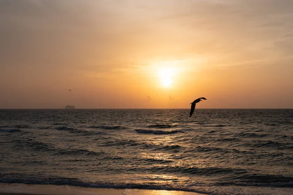 Early morning, sunrise over sea. Ocean sunset on sea water with sunset sky