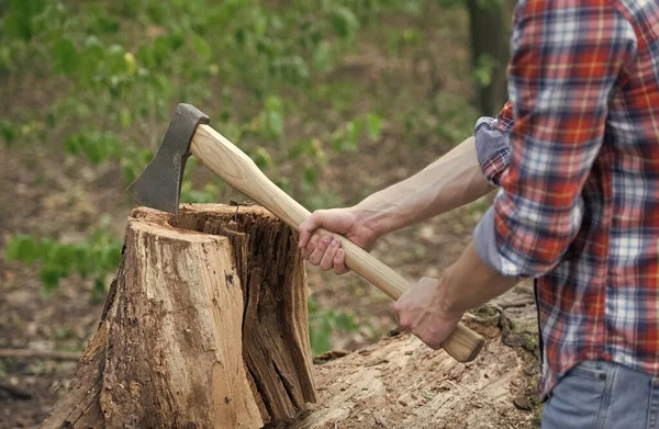 Je coupe du bois de chauffage. Couper du bois. Hachoir en bois entre les mains d'un homme. Équipement Lumbermans. Exploitation forestière. Récolte du bois. Nature estivale — Photo