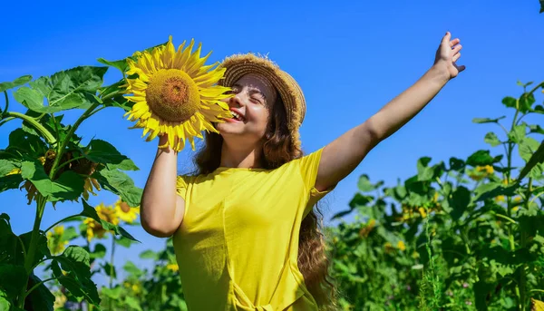 Neşeli kız çiftlikte güzel ayçiçekleri topluyor — Stok fotoğraf