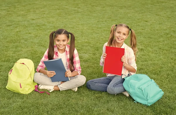 Szkoła przyjaciele dziewczyny uczą się na świeżym powietrzu, odrabiając pracę domową pojęcie — Zdjęcie stockowe