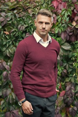 handsome guy on autumn leaves background. male beauty concept. confident businessman wear casual business clothes. mature unshaven man outdoor. male fall season fashion. in autumn colors clipart
