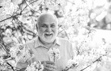 Yaz arkaplanı. Yasak Sakura Parkı. Park koronavirüs nedeniyle karantinaya alınmıştır. Sunbae, solunum maskeni çıkar. Parkta sakura çiçeği ağacı. Koronavirüs kovid 19. Bahar keyfi