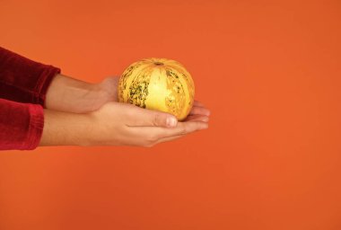 Sonbahar hasadı. Cadılar bayramı balkabağı elinde çocuk, turuncu arka planda tatil için Jack O feneri yaratıyor. Cadılar bayramın kutlu olsun. Sağlık için yararlı. Vitamin dolu. çocuklar için organik diyet