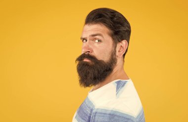 Güzel sakal ve bıyık bakımı. Hipster görünümü. Sakal ve berber konsepti. Sakallı, hippi tarzı sakallı ve sarı bıyıklı bir adam. Ben mükemmelim. Berber ipuçları sakal bırakır