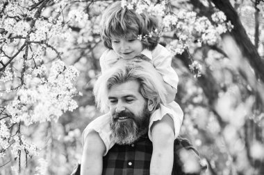 Baba ve oğul çiçek açan ağaçta. Bahar zamanı birlikte. Küçük çocuk babasıyla mutlu. Aile eğleniyor. Parkta çiçek açan ağaç. çocukluk ve ebeveynlik mutluluğu. Sevgi ve destek