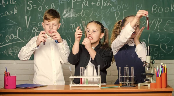 Estudo de estados líquidos. Alunos de escola de grupo estudam líquidos químicos. Meninas e menino estudante conduzem experimentos com líquidos. Verifique o resultado. Conceito de trabalho em equipa. Tubos de ensaio com substâncias líquidas coloridas — Fotografia de Stock