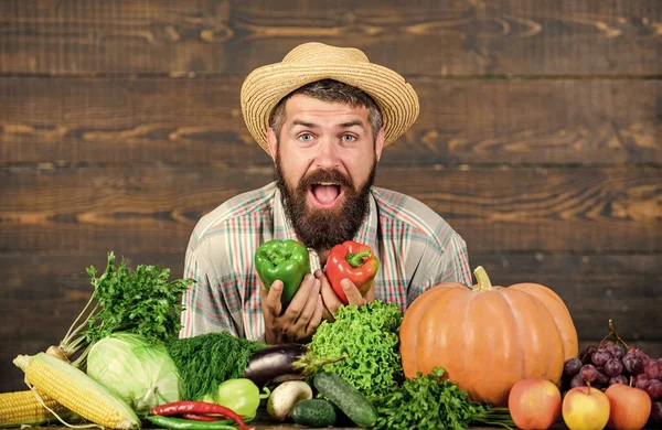 Festival de cosecha del mercado agrícola. Hombre agricultor barbudo madura mantenga verduras fondo de madera. Vender verduras. Una tienda de comestibles. Comprar verduras granja local. Concepto de cosecha propia. Típico granjero —  Fotos de Stock