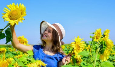 İcabına bakın. Çiçekli güzel çocuk. Yaz doğasının güzelliği. Ayçiçeği tarlasında küçük bir kız. Ayçiçeğinin sarı çiçeği. Mutlu çocukluk. Güzel kız tarlada hasır şapka takıyor.