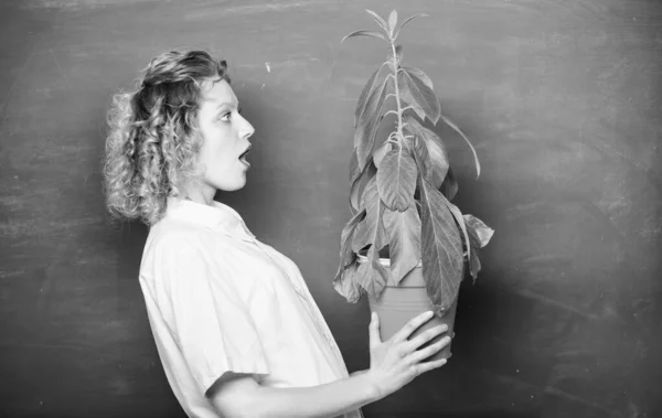 idea concept. school nature study. surprised student girl with plant at blackboard. tree of knowledge. school learning ecology. environmental education. teacher woman in glasses at biology lesson