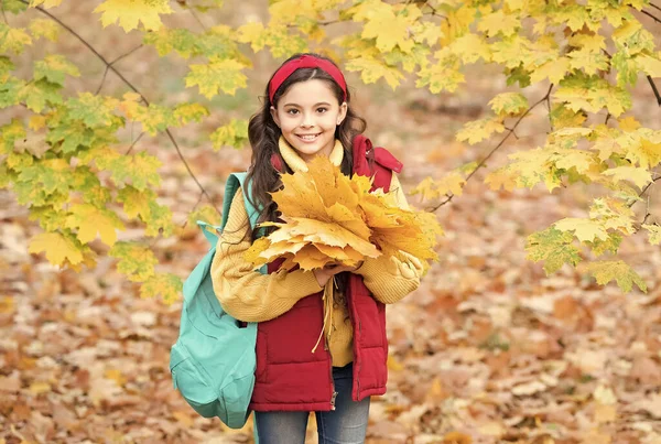 Buona giornata autunnale. passeggiata per bambini nella foresta o nel parco autunnale. autunno tempo stagionale. felicità infantile. bellezza e natura. bambino felice raccogliere foglie di acero giallo. teen ragazza sulla strada per la scuola — Foto Stock